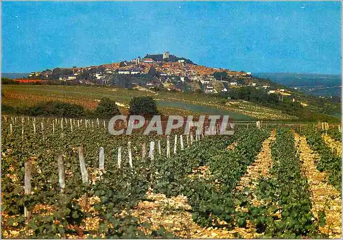 Cartes postales moderne Sancerre (Cher) vue Generale