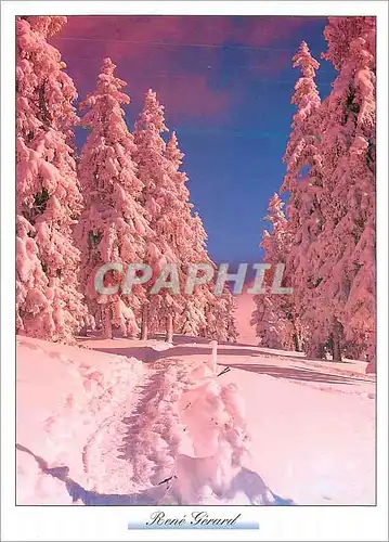 Cartes postales moderne Haute Savoie Chatel Image de Montagne en Arrivant dans la Foret Rene Gerard