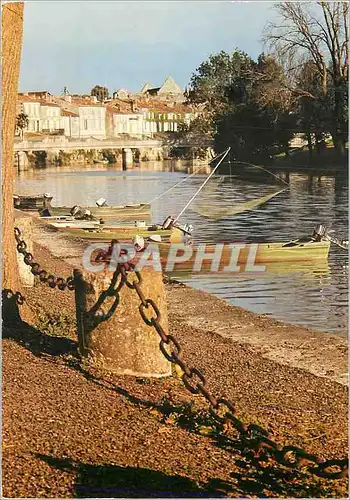 Cartes postales moderne Saint Savinien les Bords de la Charente