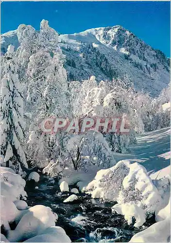 Cartes postales moderne Neige et Soleil Feerie Hivernale