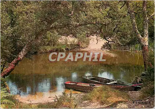 Moderne Karte Visages des Landes Courant d'Huchet a Leon