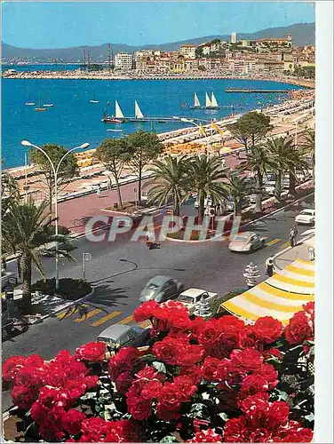 Moderne Karte Cannes Cote d'Azur French Riviera la Croisette au Fond le Suquet