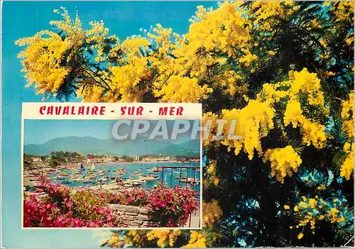 Cartes postales moderne Cavalaire sur Mer Var La Perle du Var