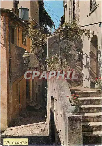 Cartes postales moderne Le Cannet Cote d Azur Rue Rapide