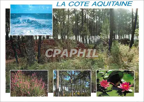 Cartes postales moderne La Cote Aquitaine