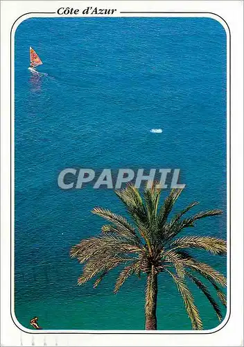 Cartes postales moderne Au soleil de la Cote d Azur