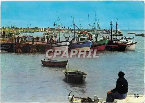 Cartes postales moderne L Aiguillon sur Mer Vendee Le Port Bateaux de peche