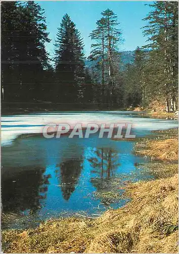 Cartes postales moderne Villeurbanne