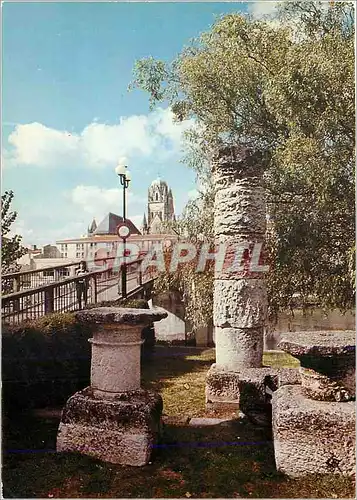 Cartes postales moderne Saintes Les colonnes romaines et la cathedrale Saint Pierre