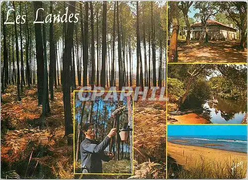Moderne Karte Les Landes Un resinier Ferme Landaise Le Courant d Huchet Cote Atlantique