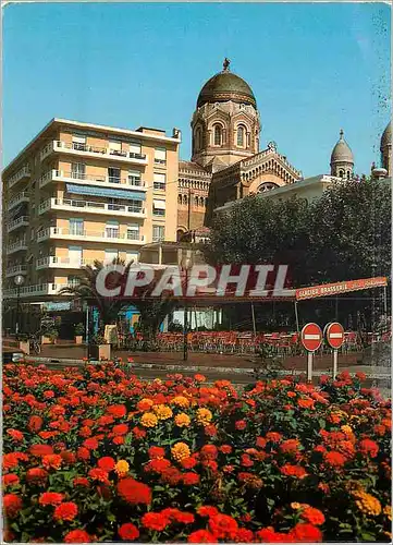 Cartes postales moderne Saint Raphael Parterre fleuri