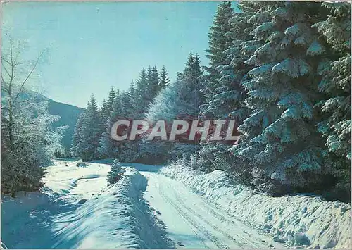 Cartes postales moderne L Hiver en Auvergne Route pittoresque en foret