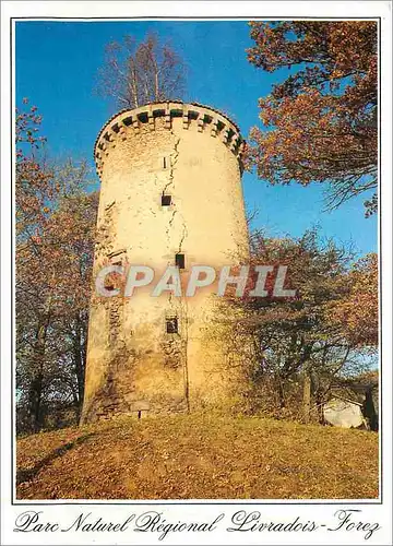 Cartes postales moderne Parc Naturel Regional du Livradois Forez La Tour du Grippel