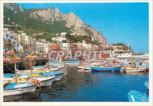 Cartes postales moderne Capri Marina Grande