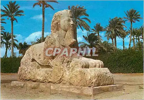 Moderne Karte Egypt Giza The Sphinx of Sakkara