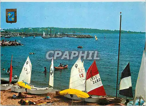 Cartes postales moderne Cannes Le pointe du Palm Beach