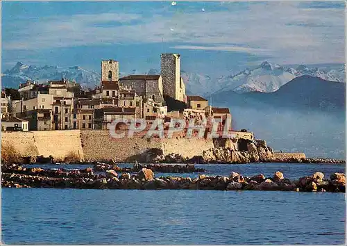 Cartes postales moderne Antibes Alpes Maritimes La Ville devant les Alpes le matin