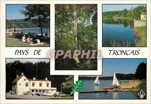 Cartes postales moderne Le Bourbonnais La Foret de Troncais et ses chenes geants
