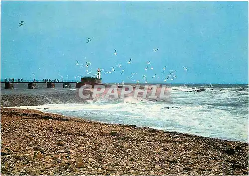 Moderne Karte Les Sables d Olonne Vol de mouettes devant la grande jetee