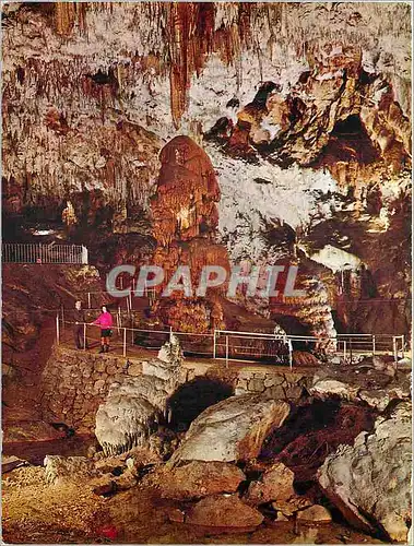 Cartes postales moderne Postojnska Jama La Grotte de Postojna