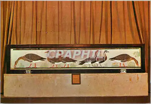 Cartes postales moderne Egypt Le Musee Egyptien Le Caire