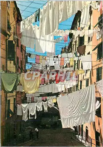 Cartes postales moderne Genova Trugoli di S Brigida