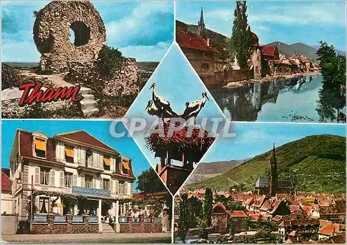 Cartes postales moderne Hotel A La Cigogne Thann