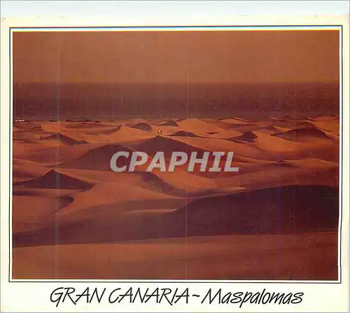 Cartes postales moderne Gran Canaria Maspalomas