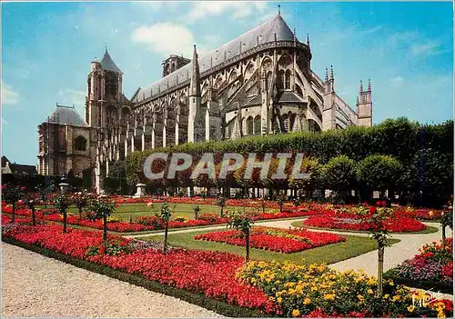 Cartes postales moderne Bourges Cher La Cathedrale Saint Etienne vue des jardins de l hotel de ville