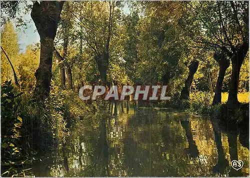 Cartes postales moderne La Venise Verte Deux Sevres Conche a l interieur du Marais