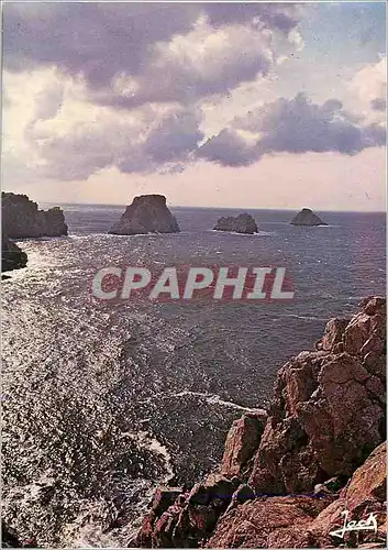 Cartes postales moderne La Presq uile de Crozon Camaret Les Tas de Pois