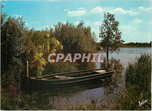 Cartes postales moderne En Sologne Un etang