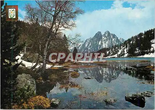 Cartes postales moderne Imagenes escudo de Oro Segunda collection de Paisajes Montana