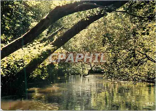 Cartes postales moderne Cote Aquitaine Leon L Amazonie landaise Le courant d Huchet