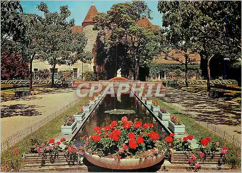 Cartes postales moderne Saint Amand Montrond Cher Le Parc Municipal