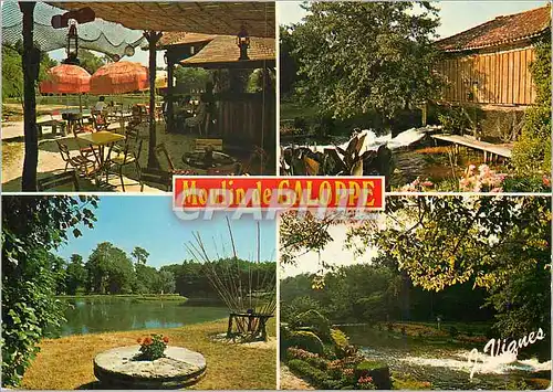 Cartes postales moderne Saint Michel Escalus pres Leon Dans un cadre reposant Peche a la truite