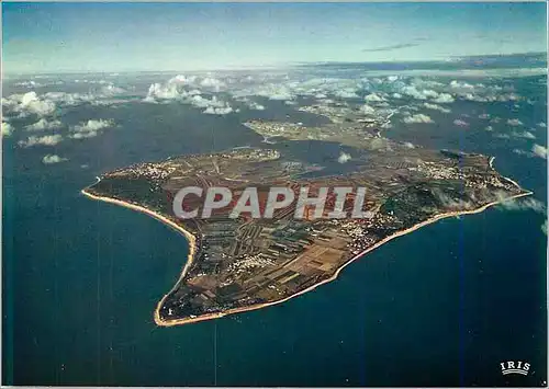 Cartes postales moderne Ile de Re Charente Maritime Vue d avion
