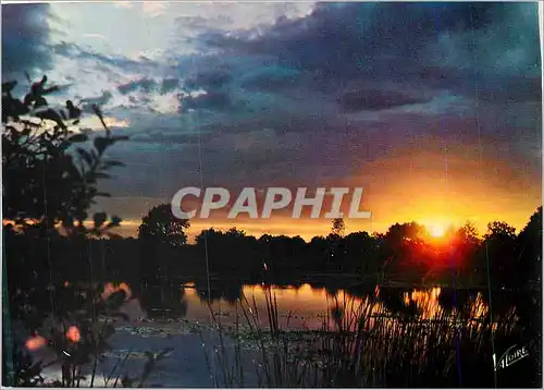 Moderne Karte En Sologne Coucher de soleil sur un etang