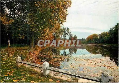 Moderne Karte Paysage en Foret Melancolie et douceur de l Automne