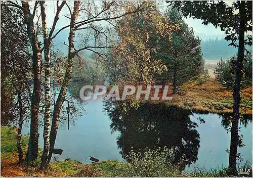 Moderne Karte En Correze Matin d automne sur la Vezere pres de Bugeat