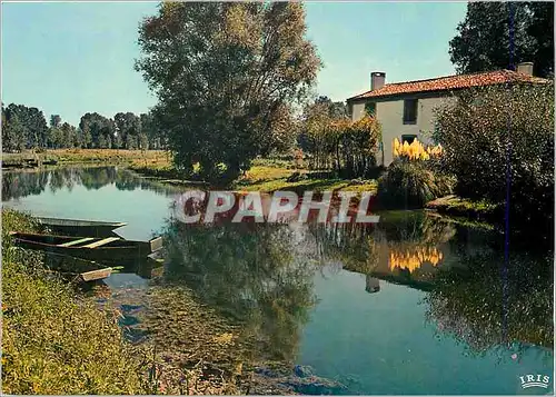 Moderne Karte Cathedrale de la Verdure Petite maison au ceour des marais