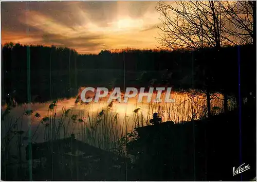 Cartes postales moderne En Sologne Coucher de soleil sur un etang