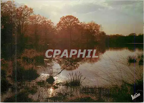 Cartes postales moderne Coucher de Soleil