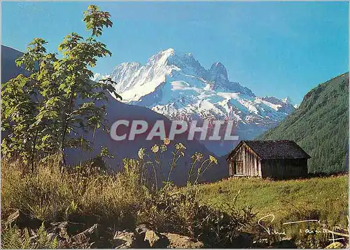 Cartes postales moderne Aiguille Verte et Drus vus du Buet