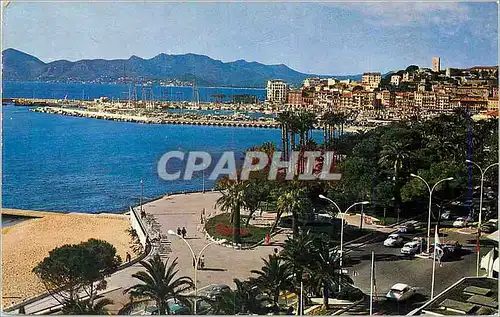 Cartes postales moderne Cannes Une partie des Jardins le Suquet le Port dans le fond l Esterel