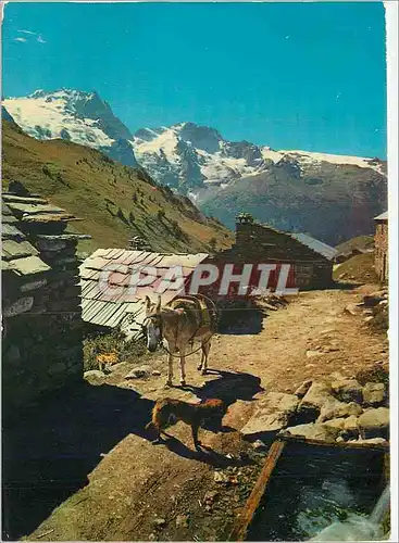 Cartes postales moderne Les Oisans Environs de la Grave Hameau sur le chemin pittoresque Ane Donkey