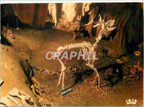 Moderne Karte Aven Grotte Marzal Gorges de l Ardeche Le Cerf