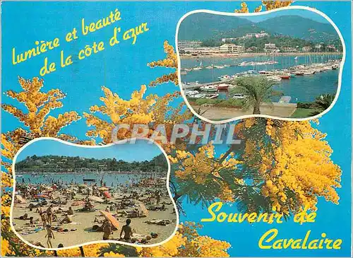 Cartes postales moderne Cavalaire La plage vue du port de plaisance