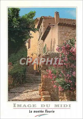 Cartes postales moderne Image du Midi La montee fleurie