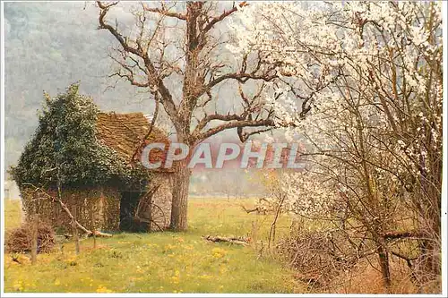 Cartes postales moderne Image de Nos Campagnes